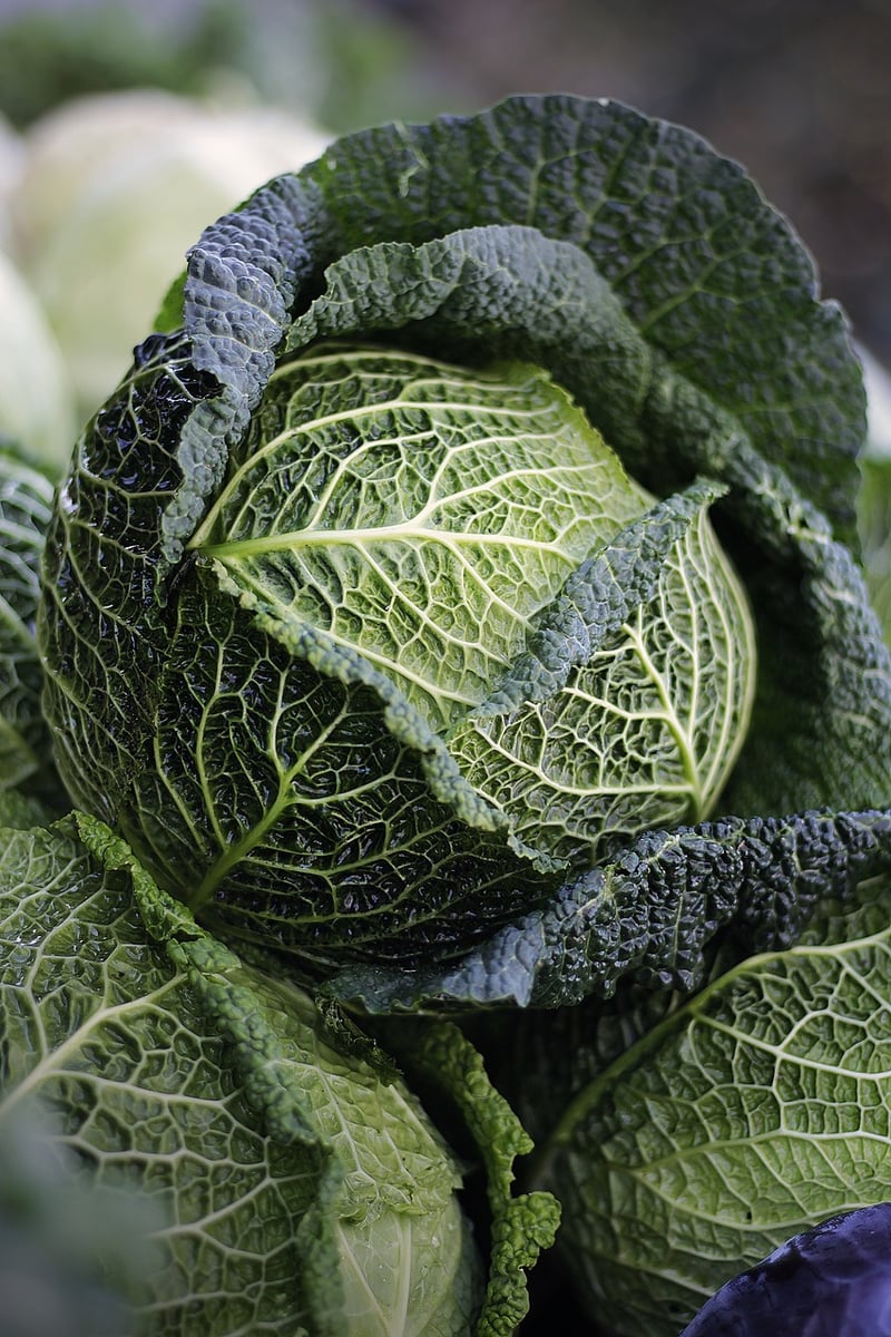 Vegetables